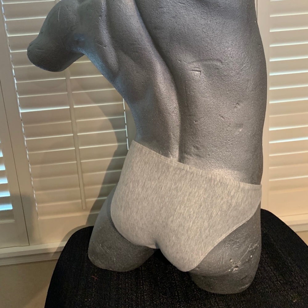 Full Pouch Brief - Light Grey. R205F* - Picture 4 of 8
